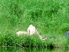 Older guy fucks a teen 18+ girl by the river