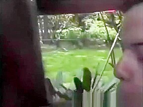 Outdoor rimming and ass fucking