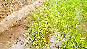 Pakistani Former Fucked Hard Pussy And Anal Desi Village Girl