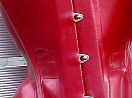 Pantera 003