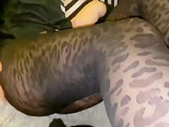 Pantyhose Couple: Leopard Print Nylon Pantyhose Footjob
