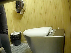 Park toilet 3