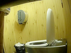 Park toilet 3