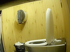 Park toilet 3