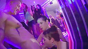 Party girls suck stripper cock