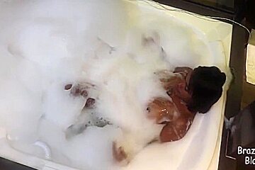 Per Fection In Chubby Amateur Latina Hardcore Action