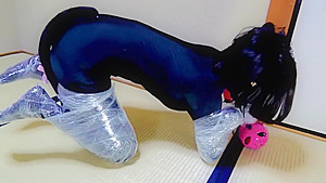Pet Play