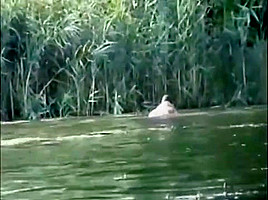 Plan a trois dans la riviere