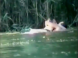 Plan a trois dans la riviere
