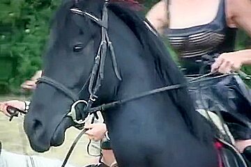 Ponygirl - German