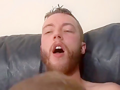 Porn 377