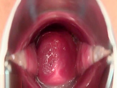 Pussy Collection Creampie Pussy