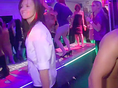 Real party euro newbie sucks cock in public