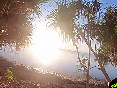 Risky Blowjob On Public Beach