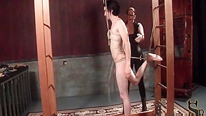 Roped male sex slave gets horny shaft tortured