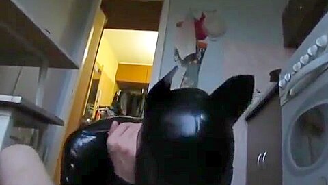 Russian Dog sucking my russian cock POV