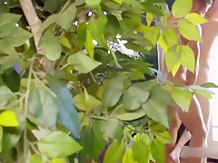 Scott Finn In Hot Twink Fucked Hard  Bareback Anal Gay Sex