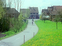 Sechs Schwedinnen Auf Der Alm