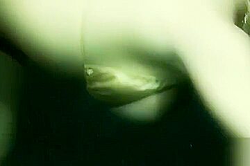 Sex Underwater
