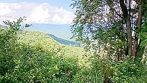 Sexo Oral In Oral Sex For Money In The Jungle