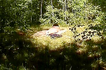 Sexy German Bbw Fingering Her Pussy In The Middle Of The Woods