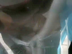 Shows Amateur, Beach, Russian Scene Show