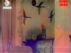 Sikis Oruspu Sikis Porno With Zerrin Dogan And Kazim Kartal