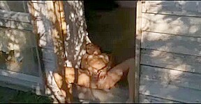 Smoking masturbation
