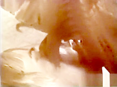 Softcore Nudes 621 60's and 70's - Scene 4