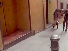 Spanish cutie gangbang in public bar