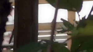 Spied on asian urinates
