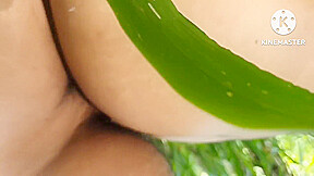 Sri Lanka Outdoor Sex - දෙන්නා එක්ක කැලේ පැන්නා