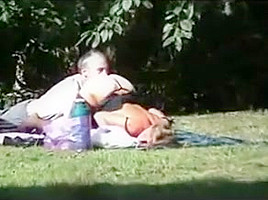 Summer in the park