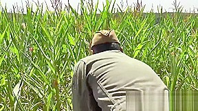Sy am Anal