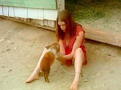 The pigkeeper's girl - 1972 - 1