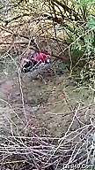 Today Exclusive- Desi Village Lover Outdoor Fucked Caught By Friends