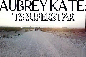 Transbabe Aubrey Kate gets bang in the ass