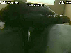 VBJ256-ZNDECWPCLK384273605