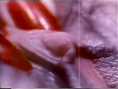 Vanessa Del Rio fucks teacher VHSrip