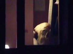 Video change room compilation with hot babes