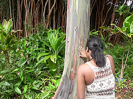 Virtual Vacation In Hawaii With Yara Skye 7/11