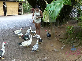 Virtual Vacation In Hawaii With Yara Skye 7/11