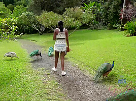 Virtual Vacation In Hawaii With Yara Skye 7/11