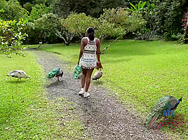 Virtual Vacation In Hawaii With Yara Skye 7/11
