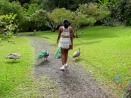 Virtual Vacation In Hawaii With Yara Skye 7/11