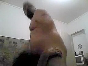al last carmen se traga la leche