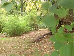 busty sexy susi outdoor fucked