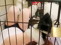 cocoasoft japanese bondage breathplay kigurumi bondage wsm_mikeneko_cage