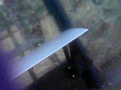 girl sperm chaud