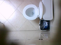 in the toilet ceiling